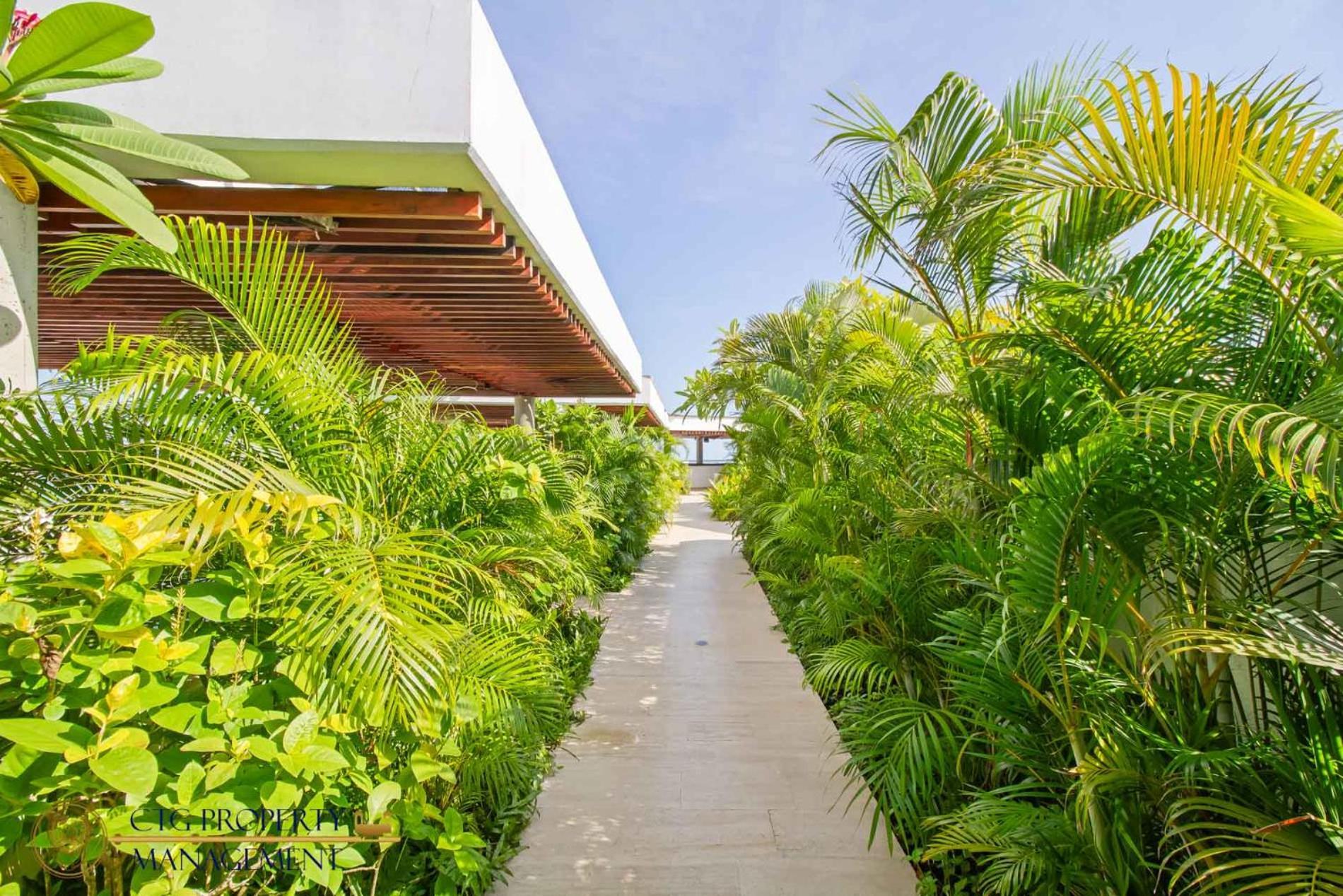 Martinique Cartagena - Apartamentos A Corta Caminata De Playa Azul Exteriér fotografie